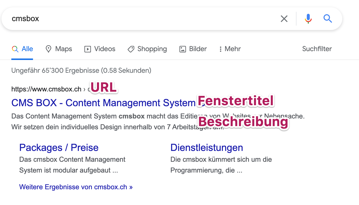 google-suche.png